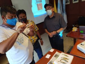 Blgo. Jorge Correa del IPIAP, durante el taller, instruyó a los pescadores la manera correcta de medir el camarón pomada para realizar luego el correcto registro en el formulario. 