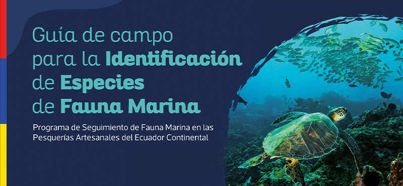Guia de campo para la identificacion de Especies de Fauna Marina