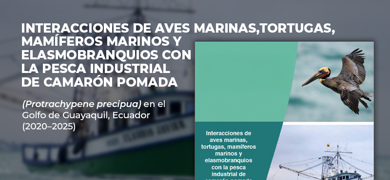 Interacciones de aves marinas, tortugas, mamiferos marinos y elasmobranquios con la pesca industrial de camaron pomada